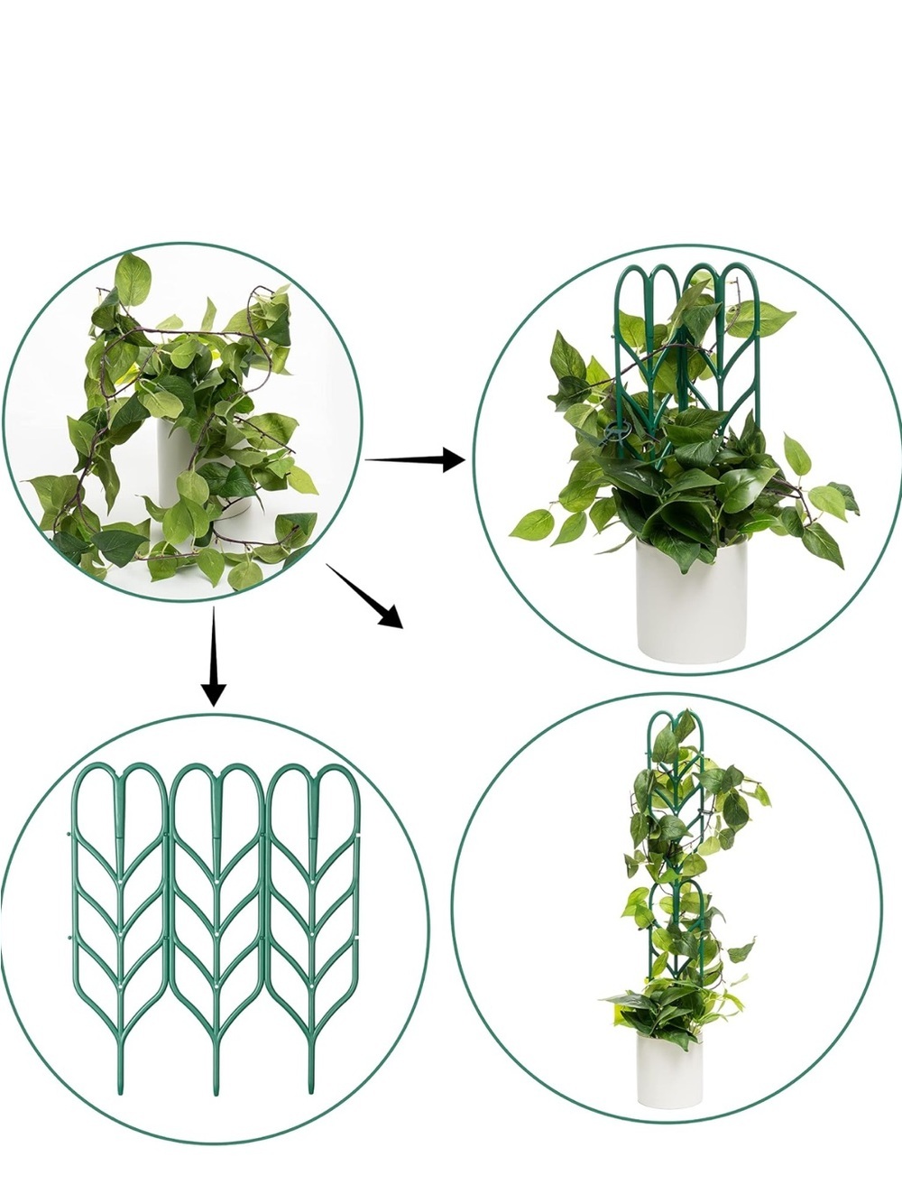Green Plant Support Trellis for Indoor Vines - Unbranded